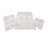Ice Sheets