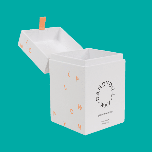 Retail packaging box example - Dandydil Way Box, Retail Bags, Retail Packaging Solutions, 