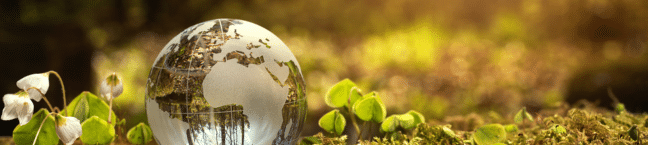 Image of the globe in grass